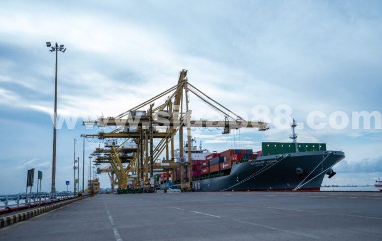 Hingga November 2024, Kinerja Terminal Petikemas Surabaya Tumbuh 9,27 Persen