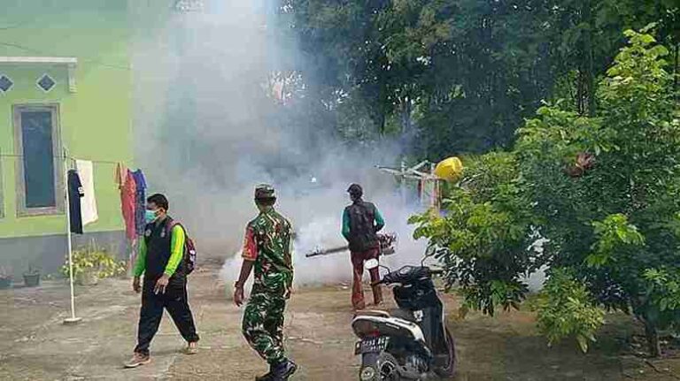 Babinsa Koramil 0826-04 Bersama Puskesmas Galis Lakukan Fogging Di Desa Artodung