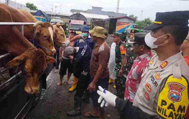 Kapolres Nganjuk Apresiasi Langkah Polsek Bagor Dan Dinas Pertanian Cegah Pmk
