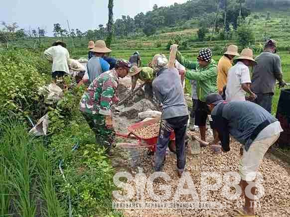 Babinsa Koramil 0826-10 Waru Gotong-royong Pengecoran Jalan di Tampojung Tengah