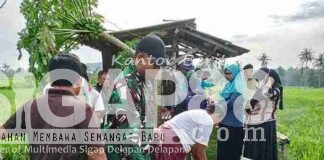 Babinsa Posramil 0826-12 Bersama PPL dan PUPT Kecamatan Kadur Lakukan Penyemprotan