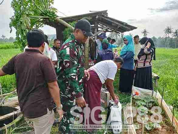Babinsa Posramil 0826-12 Bersama PPL dan PUPT Kecamatan Kadur Lakukan Penyemprotan