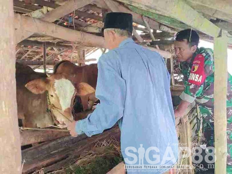Babinsa Koramil Pakong Imbau Warga Desa Banban Jaga Kebersihan Kandang Dan Lingkungan