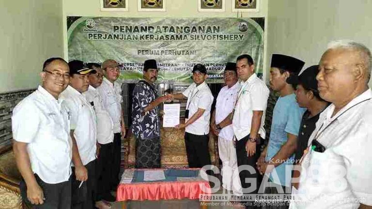 Perhutani Kph Madura Gandeng Lmdh Sumber Barokah Teken Perjanjian Kerjasama Silvofishery Di Pamekasan