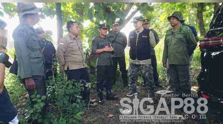 Perhutani Kph Jombang Bersama Pemerintah Kabupaten Cek Lokasi