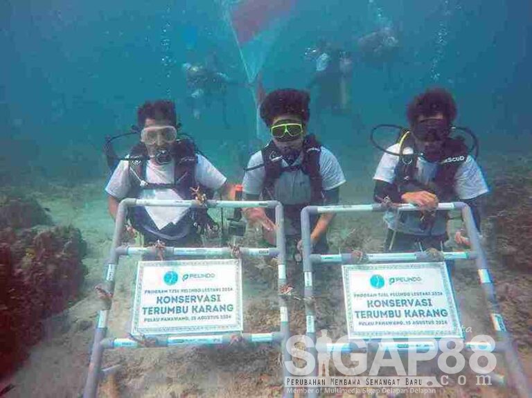 Pelindo Terminal Petikemas Jalankan 15 Program Csr Untuk Masyarakat Sekitar Pelabuhan