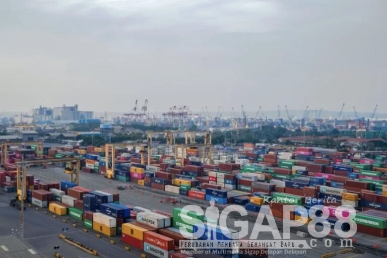 Arus Petikemas Tps Catur Wulan I Tahun 2025 Meningkat
