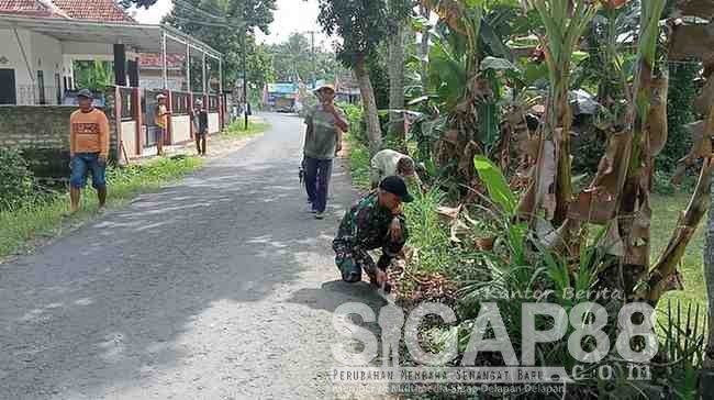 Dusun Rongrongan