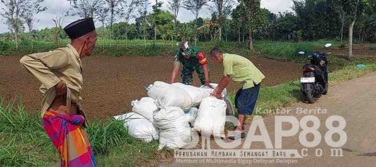 Babinsa Koramil 0826-09 Pakong Bantu Warga Desa Palalang Angkut Pupuk Kandang