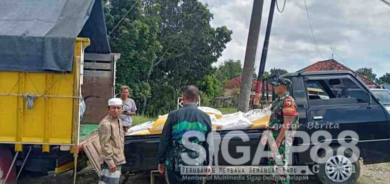 Babinsa Koramil 0826-10 Waru Pantau Pendistribusian Pupuk Organik