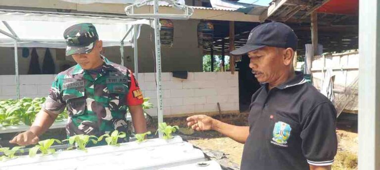 Babinsa Koramil 0826-09 Pakong Apresiasi Warga Desa Palalang Kembangkan Hidroponik Di Lahan Sempit