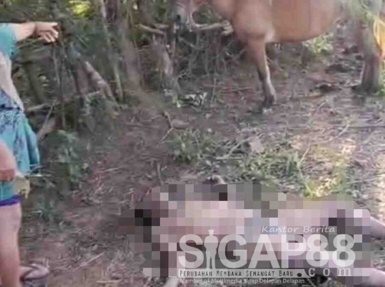 Musahwi Warga Kepulauan Kangean Meninggal Di Persawahan, Diduga Tidak Wajar