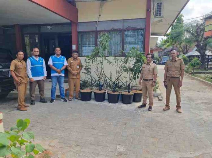 Sambut HUT RI ke-80, PLN UP3 Madura Salurkan 1000 Bibit Pohon Produktif