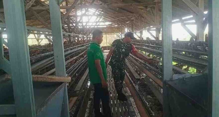 Babinsa Koramil 0826-05 Larangan Komsos Dengan Peternak Ayam