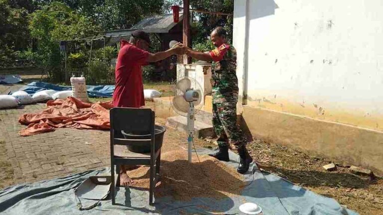 Perkuat Binter, Babinsa Koramil 0826-01 Pamekasan Bantu Warga Desa Nyalabuh Laok Bersihkan Gabah Kering