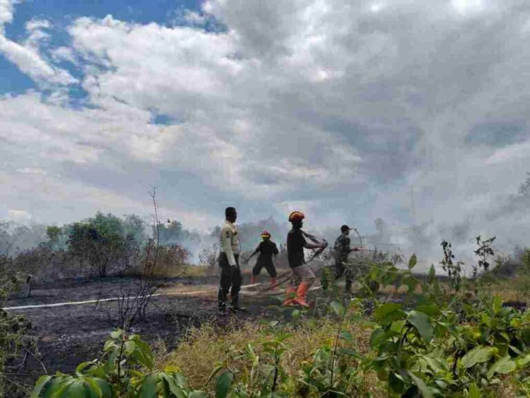 Babinsa Koramil 0826-05 Larangan Bersama Bpbd Pamekasan Sigap Padamkan Kebakaran Lahan