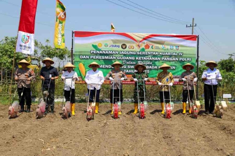 Polres Jombang Kolaborasi Tanam Jagung Serentak Di Desa Plosogenuk