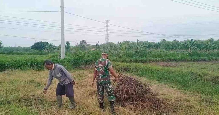 Babinsa Koramil 0826-05 Larangan Petani Dusun Kilik Bersihkan Lahan Pertanian