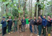 Perhutani Jombang bersama TNI dan Wartawan Kawal Suksesnya Tanaman