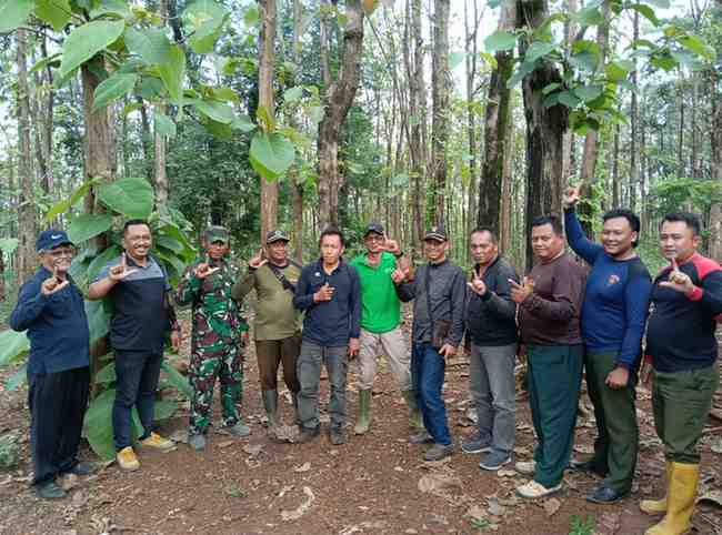 perhutani Jombang patroli