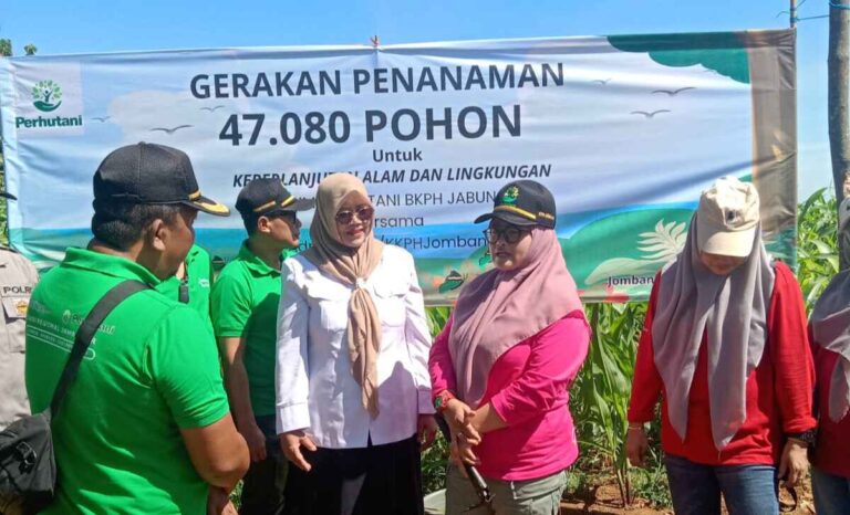 Perhutani Kph Jombang Tanam 47 Ribu Pohon Di Hutan Lebak Jabung Bersama Muspika Wonosalam
