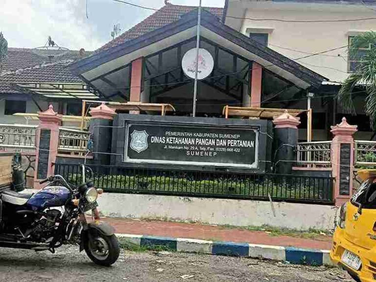 Capaian Target Produksi Gabah Tahun 2025,Dkpp Sumenep Inovasi Tumpang Sari