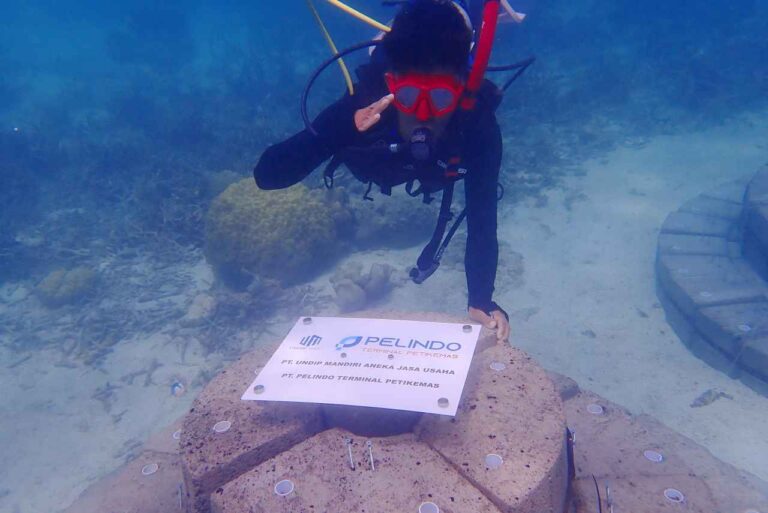 Dorong Wisata Karimunjawa, Pelindo Petikemas Terapkan Teknologi Terumbu Buatan Apr
