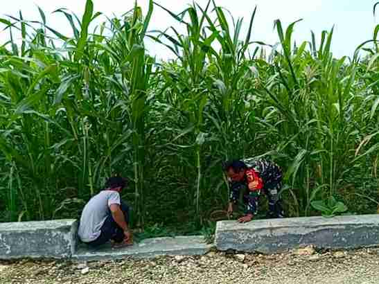 1766291725587