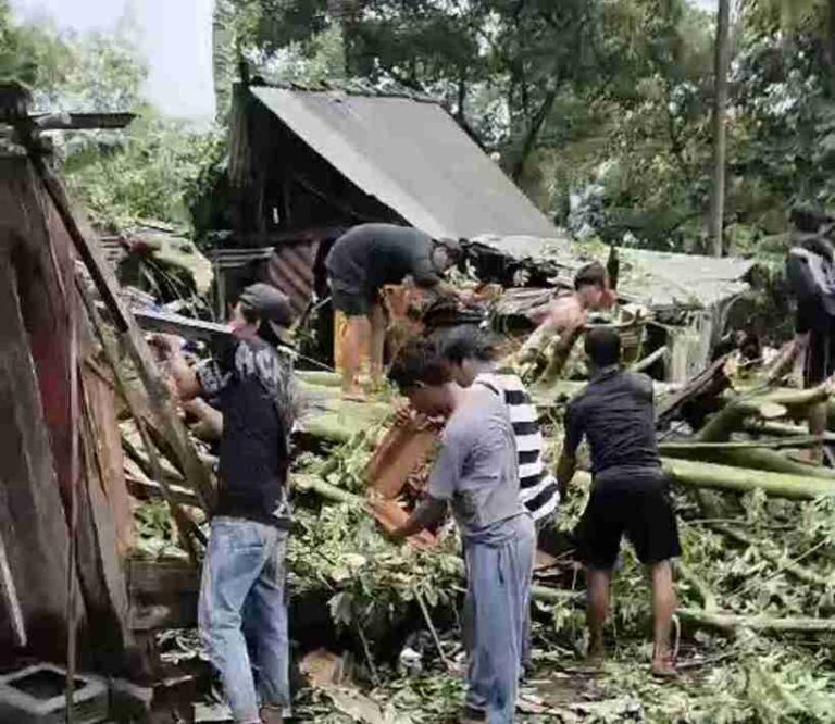 Angin Kencang, Pohon Besar Tumbang Timpa Rumah Warga Desa Pagerungan Kecil