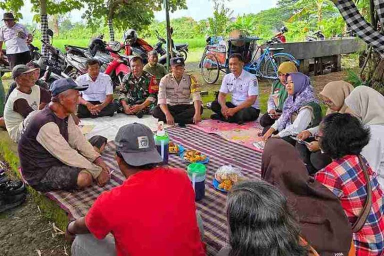 Bhabinkamtibmas Kelurahan Ploso Bersama 3 Pilar Dan Ppl Beri Penyuluhan Peningkatan Kualitas Hasil Tanam