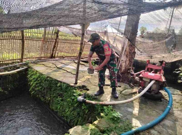 Dukung Ketahanan Pangan, Babinsa Koramil 0826-05 Larangan Dampingi Peternak Lele Di Dusun Kosaba