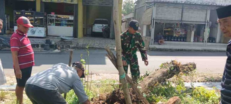 Bahayakan Pengendara, Babinsa Koramil 0826-11 Batumarmar Bersama Warga Dusun Nancak Bersihkan Kayu Pohon Tumbang
