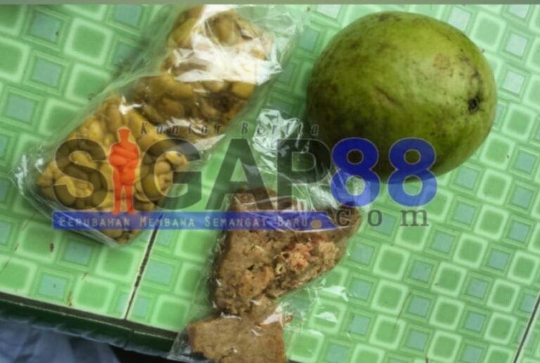Menu Mbg Di Sdn Pekuncen Pasuruan Kota Disorot, Lpk-Pn Siap Turun