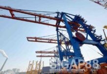 Hmc Terminal Petikemas