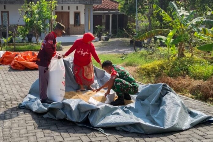 Koramil Pamekasan jemur Gabah