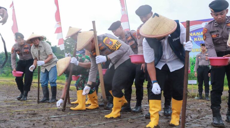 Dukung Swasembada Pangan Nasional, Forkompimda Jombang Gelar Penanaman Jagung Serentak