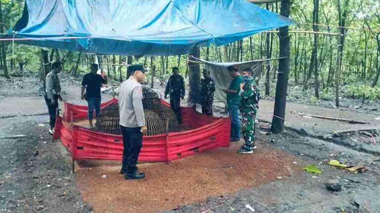 Kolaborasi Tni-Polri Intensifkan Penindakan Judi Sabung Ayam Di Jombang
