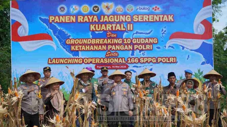 Sinergi Polri Dan Kementan, Kapolres Pamekasan Pimpin Panen Jagung Serentak Di Palengaan