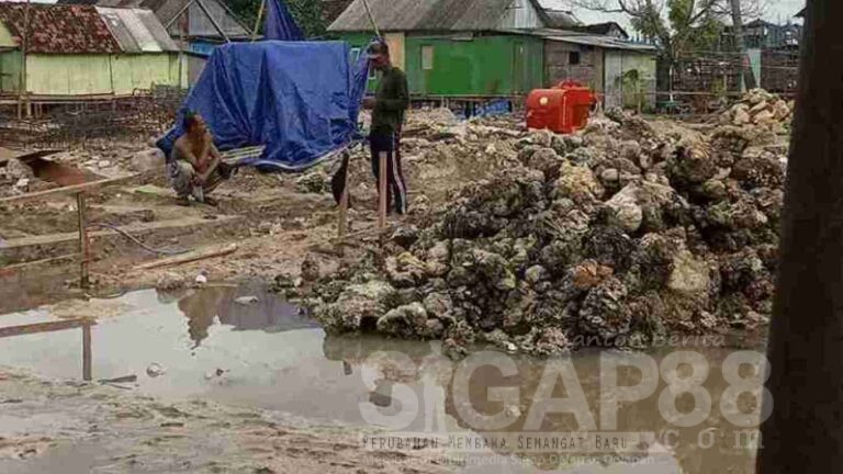 Batu Karang Hidup Diduga Akan Digunakan Pembangunan Gedung Kdkmp Di Desa Sapeken