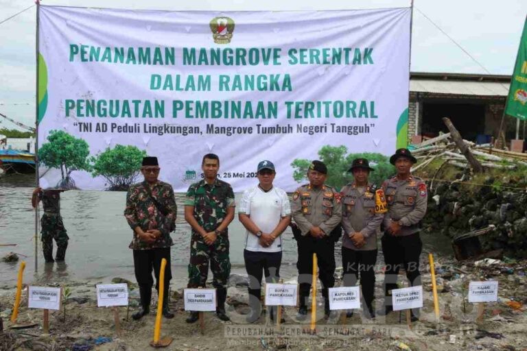 Tni Ad Peduli Lingkungan, Dandim 0826 Pamekasan Pimpin Tanam Mangrove