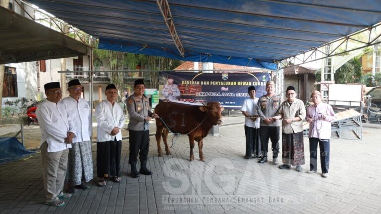 Hewan Kurban Sapi Dari Kapolda Jatim Diserahkan Kapolres Jombang Ke Ponpes