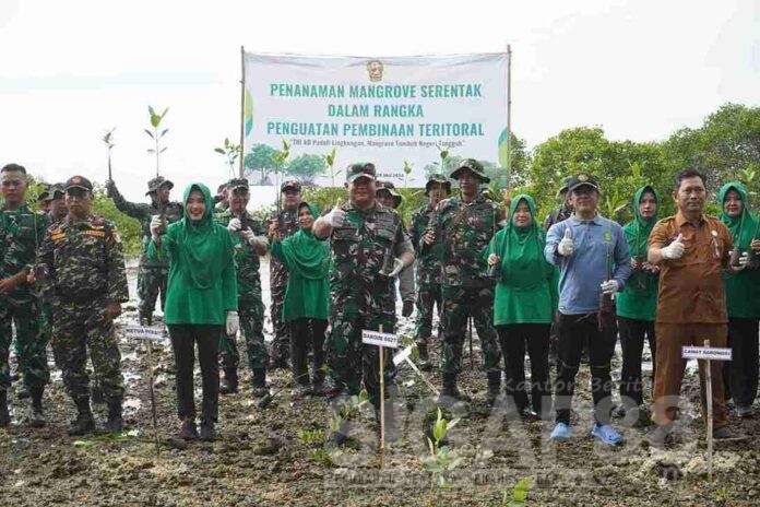 tanam mangrove sumenep