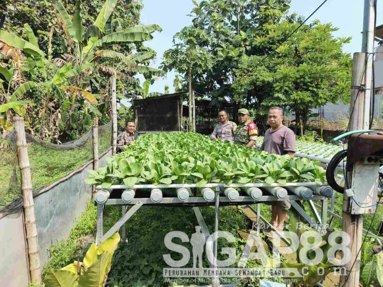 Bhabinkamtibmas Mojotrisno Dorong Warga Manfaatkan Pekarangan Rumah