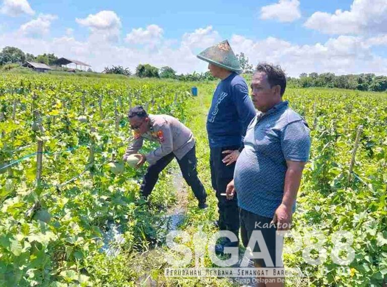 Dorong Swasembada Pangan, Polresta Sidoarjo Gencarkan Program Pekarangan Pangan Bergizi