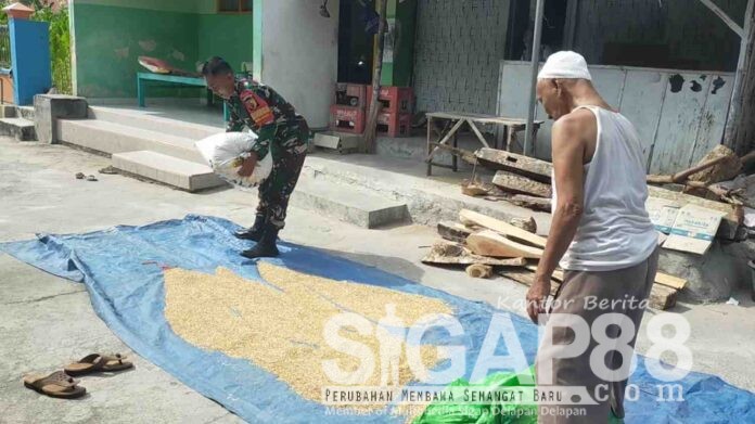 Babinsa Koramil PAMEKASAN bantu warga