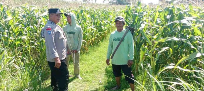 Bhabinkamtibmas desa tanon