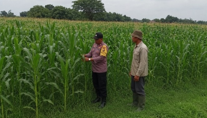 Bhabinkamtibmas polsek Ngoro