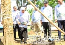 Peringati Hari Lingkungan Hidup Sedunia, Gubernur Jatim Tanam Pohon dan Dorong Pengelolaan Sampah Modern