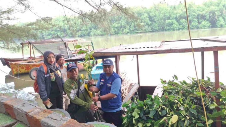 Tps Perkuat Benteng Pesisir Surabaya, 2.000 Mangrove Ditanam Di Romokalisari