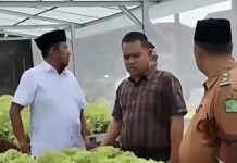 Bupati Sumenep Dorong Transformasi Pertanian Modern untuk Perkuat Ketahanan Pangan